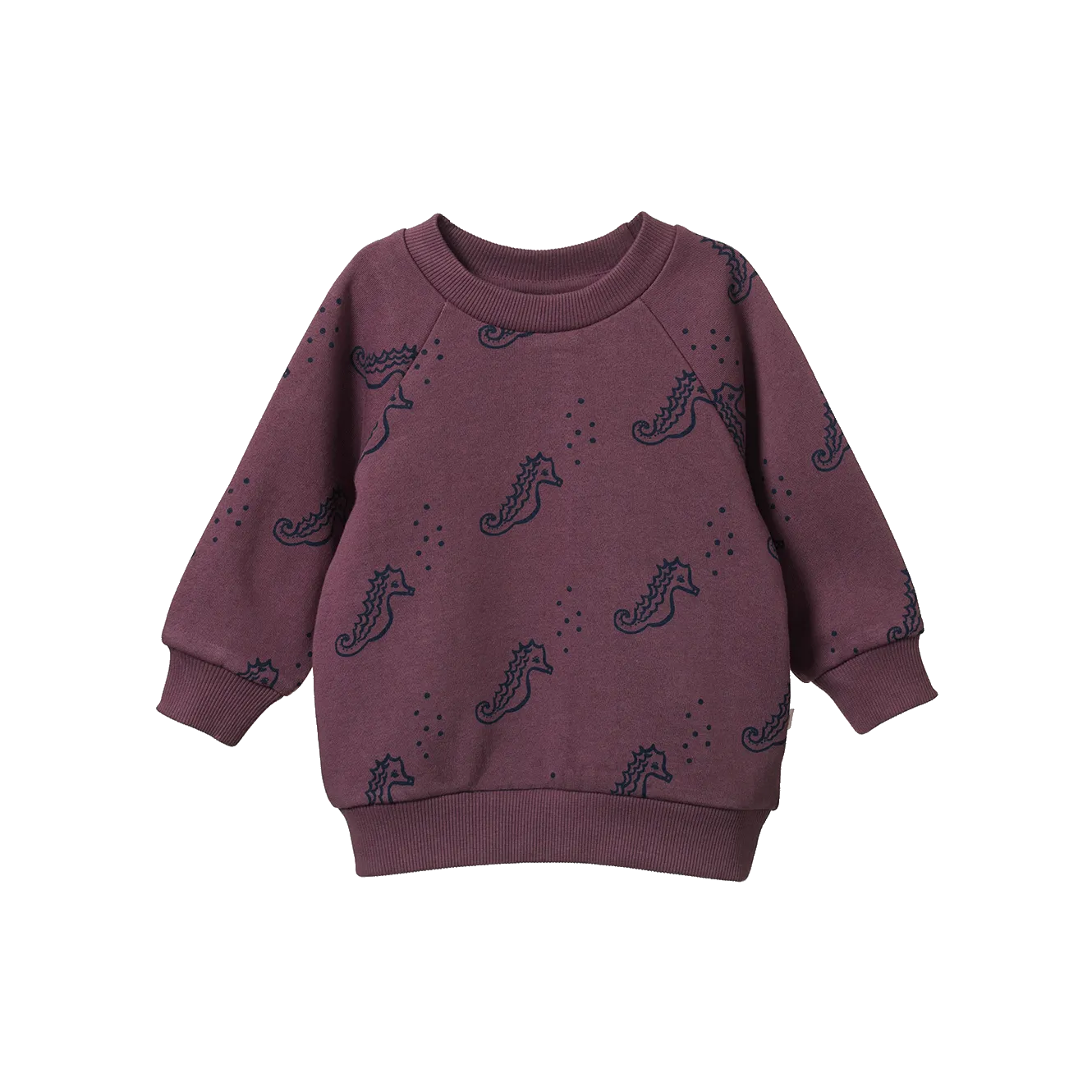 NATURE BABY EMERSON SWEATER NEPTUNE PRINT